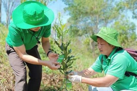 Nhóm bạn trẻ tái sinh rừng, trồng cây giống tạo sinh kế cho bà con